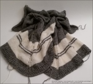 Ponchogenser - Ryg- og forstykket
